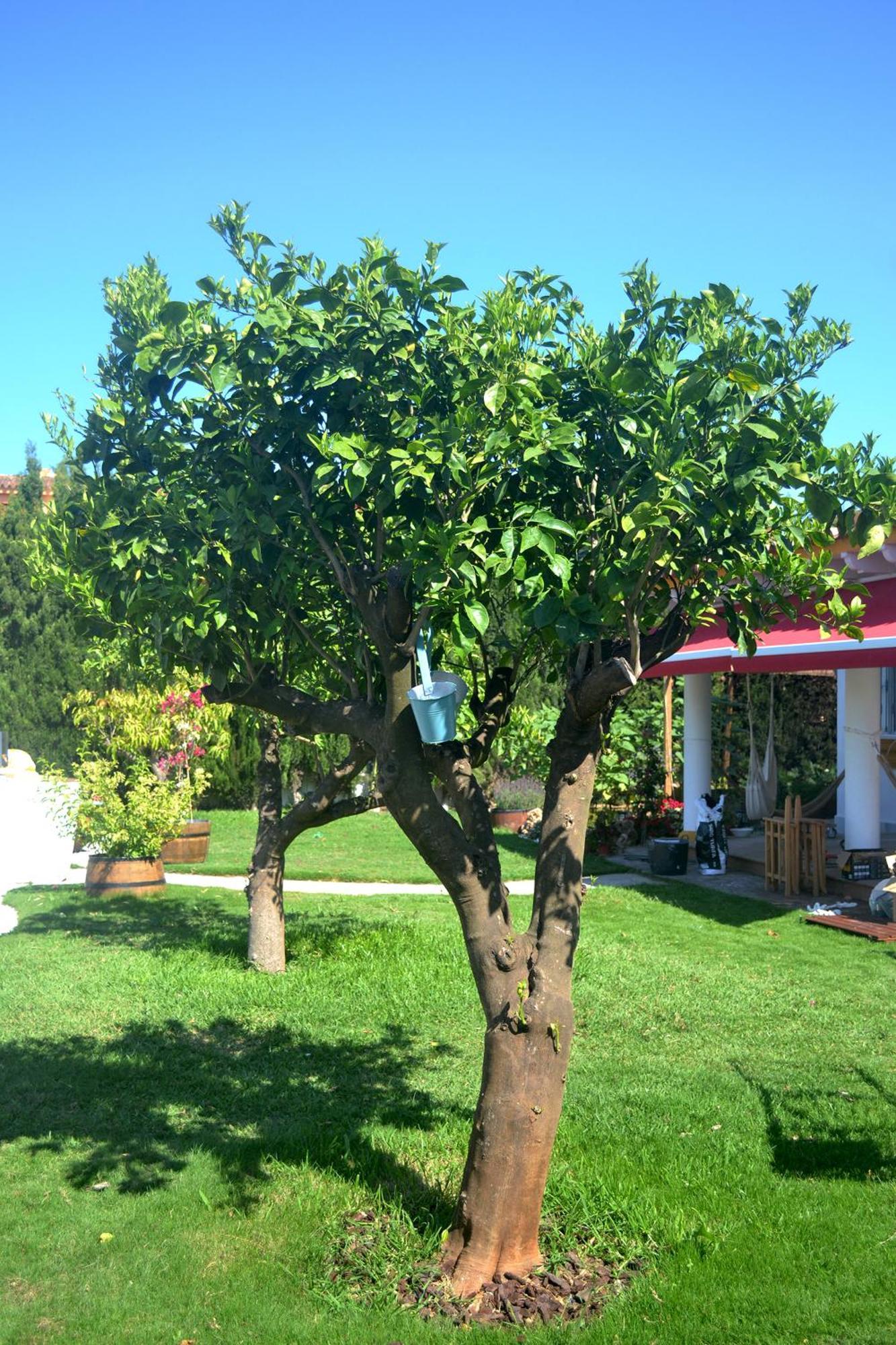 Vakantiehuis En Sancti Petri *